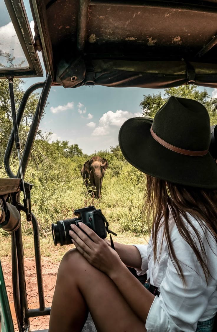 Colombo Airport to Yala: How to Travel to Sri Lanka's Wildlife Country
